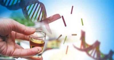 Rượu triệt hại tế bào gốc, huỷ gen và gây 7 loại ung thư